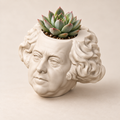 John Adams Head Planter hero lifestyle view