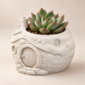 Cozy Hillside House Planter with succulent on a warm cream studio background