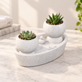 Soak and Bloom | Bathtub Planter