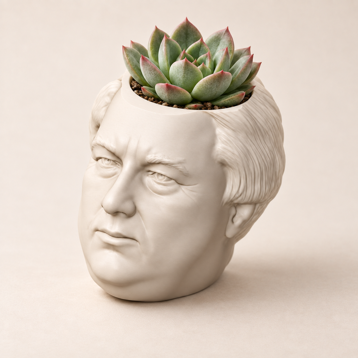 Millard Fillmore Head Planter hero lifestyle view