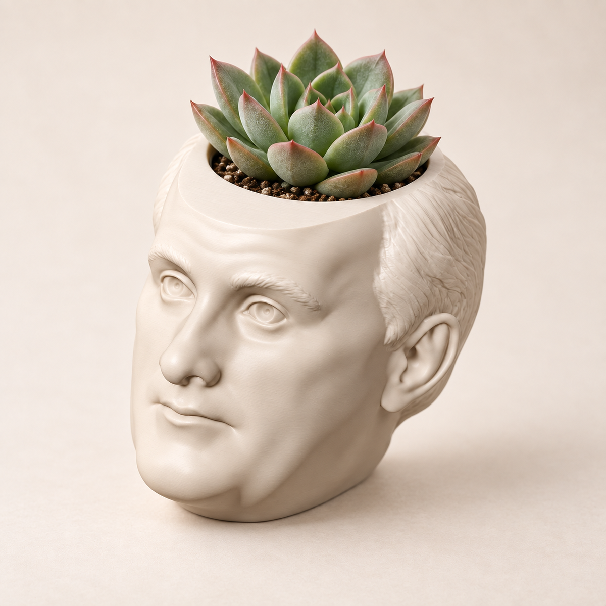 James Buchanan Head Planter hero lifestyle view