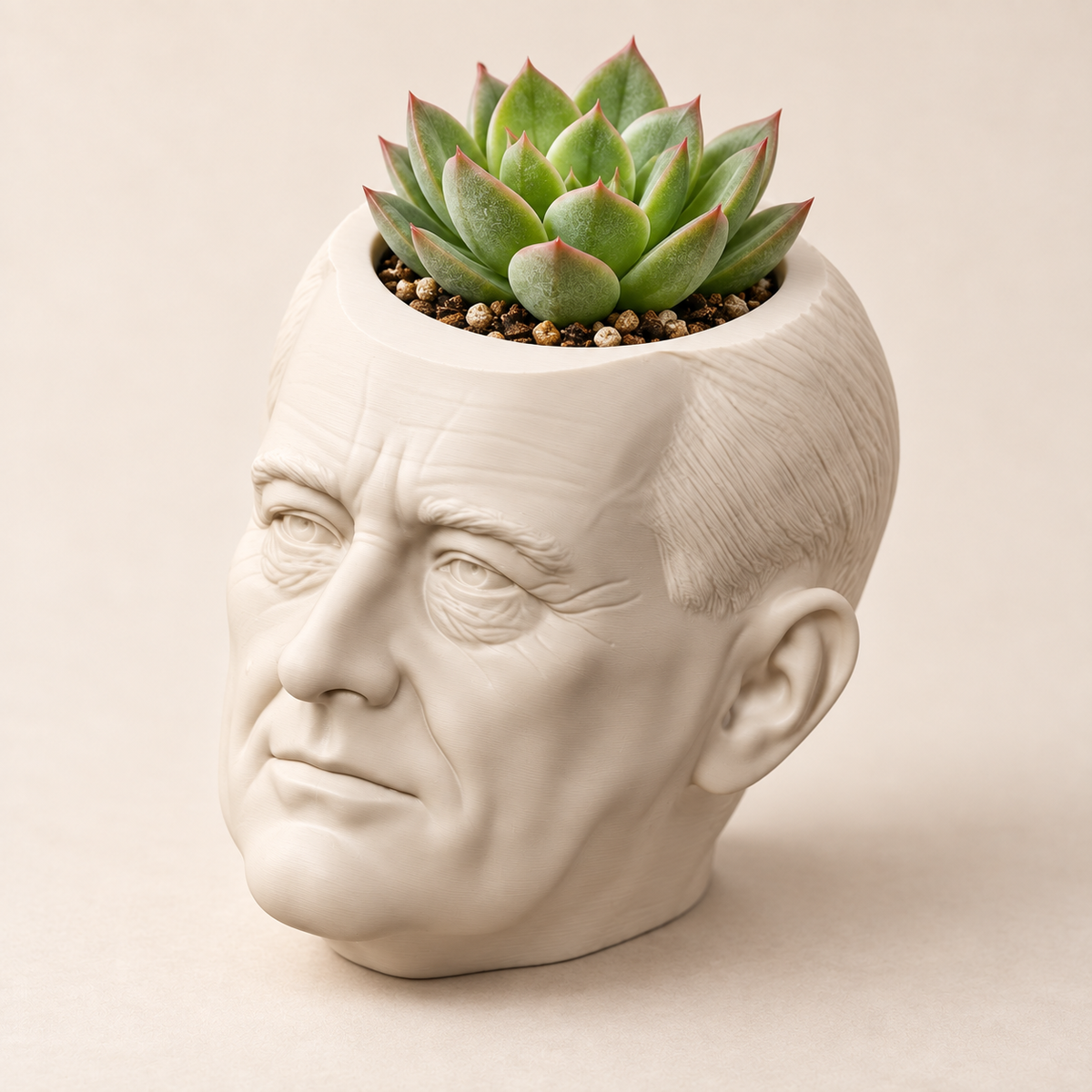 Franklin D. Roosevelt Head Planter hero lifestyle view