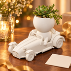 Roadster Rory: Classic Car Planter gift presentation