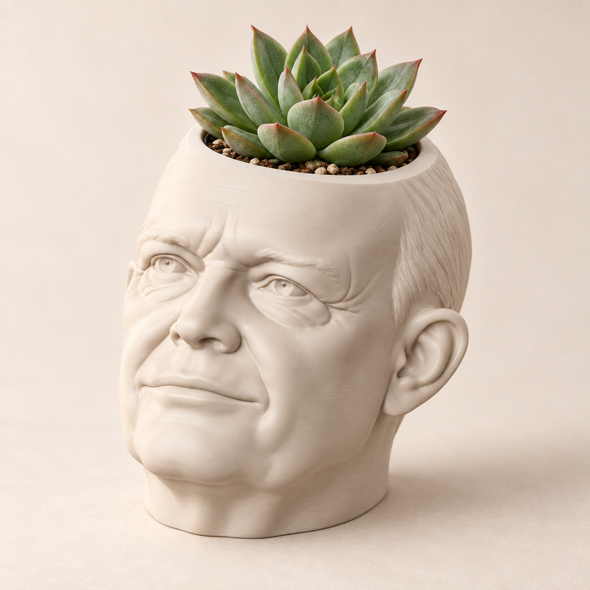Dwight D. Eisenhower Head Planter hero lifestyle view