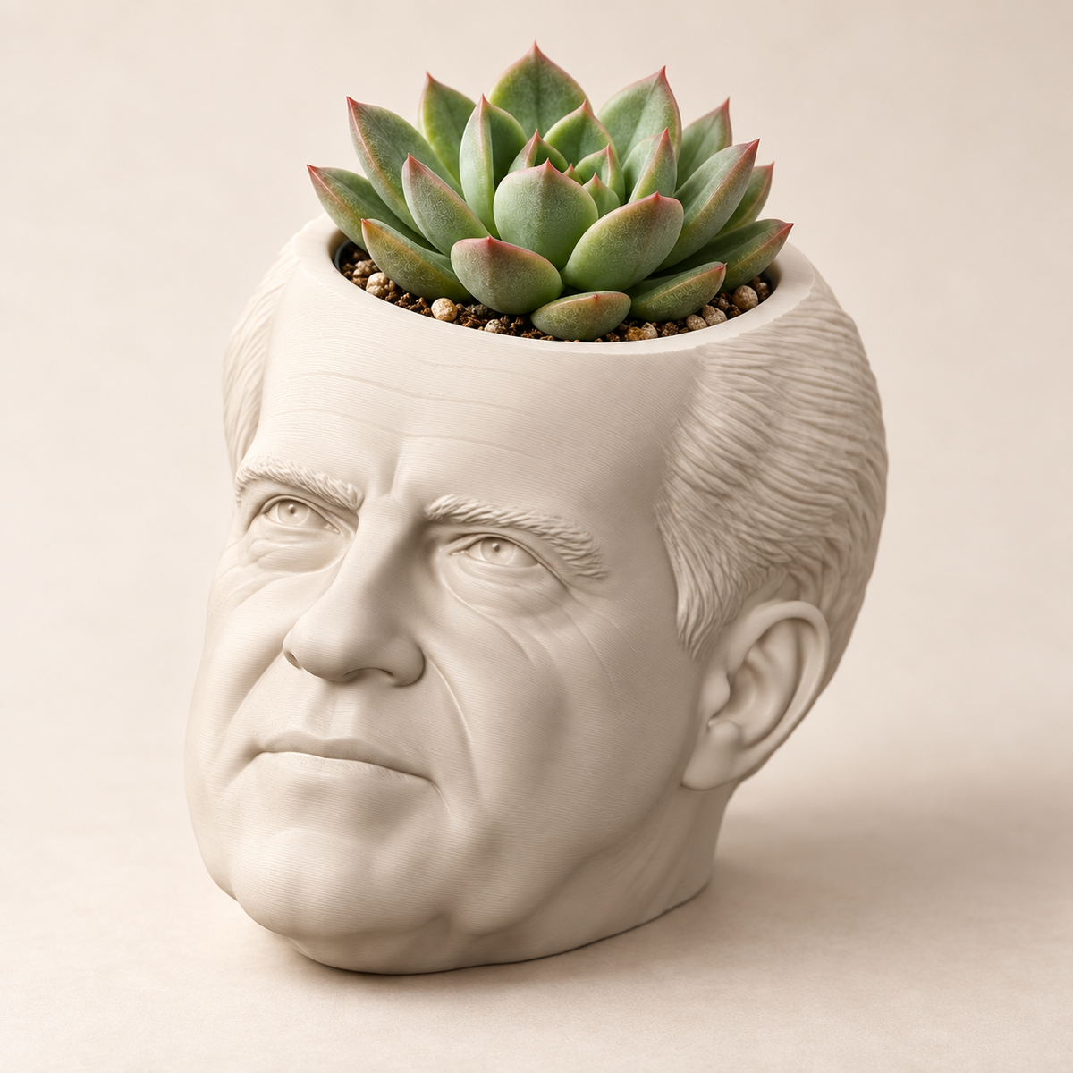 Richard Nixon Head Planter hero lifestyle view
