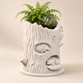Woodland Hollow Planter with fern and succulent on a warm cream studio background