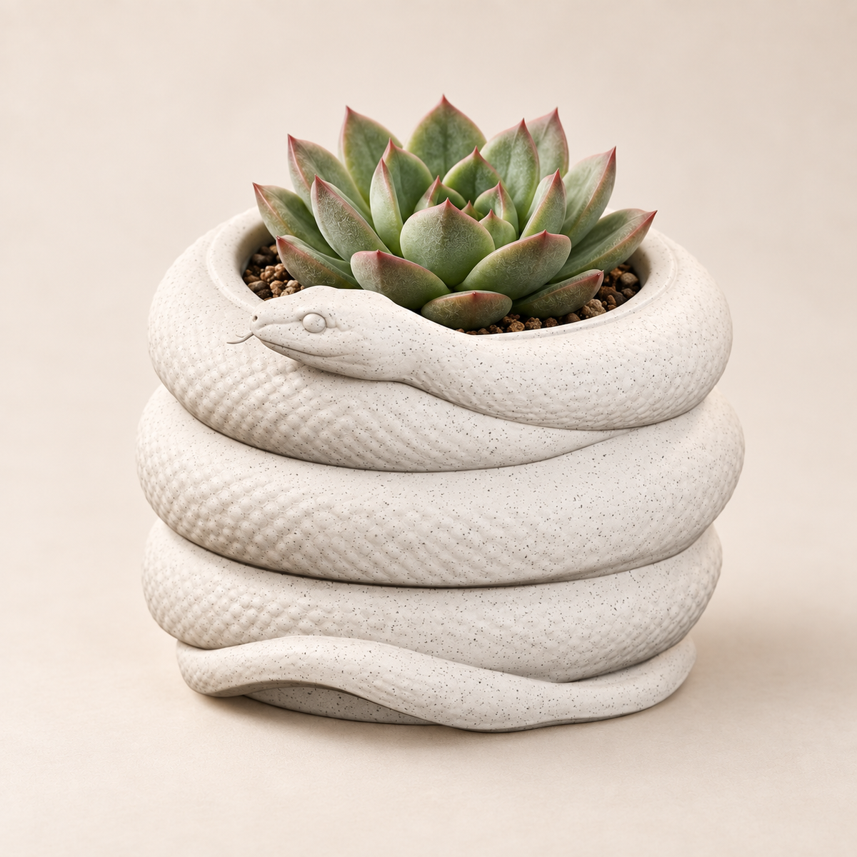 Coiled Snake Planter with succulent on a warm cream studio background