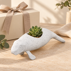 Manni Manatee planter gift presentation