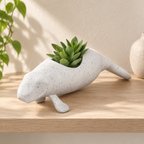Manni Manatee planter hero lifestyle