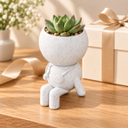 Care Moss nurse planter gift presentation