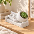 Rest Patient Planter in a calm home setting