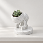 Tuck character planter editorial view