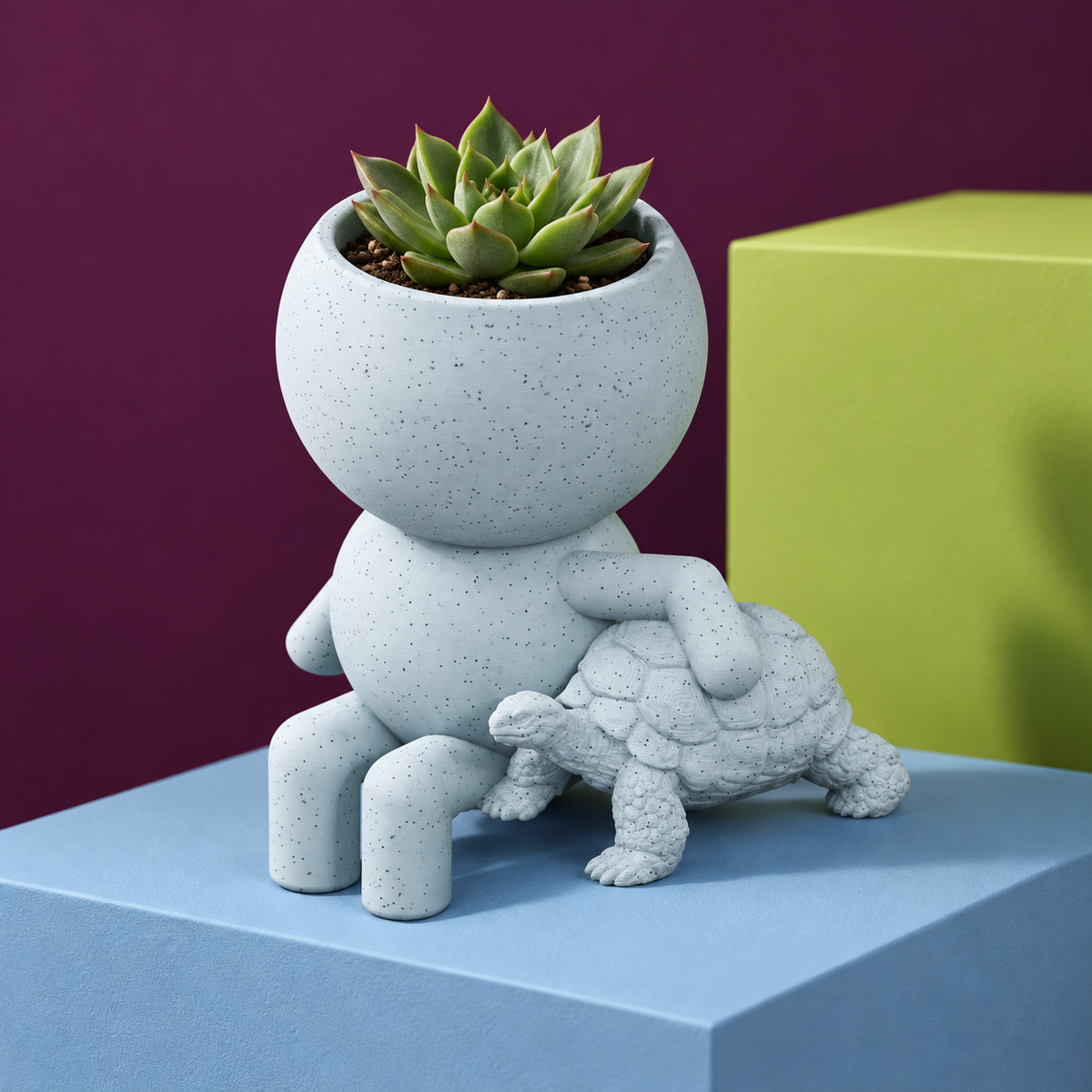 Shelby Slowgrow's Garden Stroll: Tortoise Planter editorial view