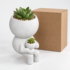 Gift presentation image of Little Link Companion Planter