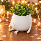 Sunny Happy Face Planter gift presentation