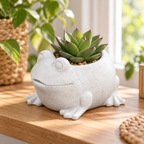 Puddle the Frog Planter hero lifestyle view