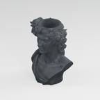 The Laurel Guardian: Greek-Inspired Bust Planter in Charcoal Black finish